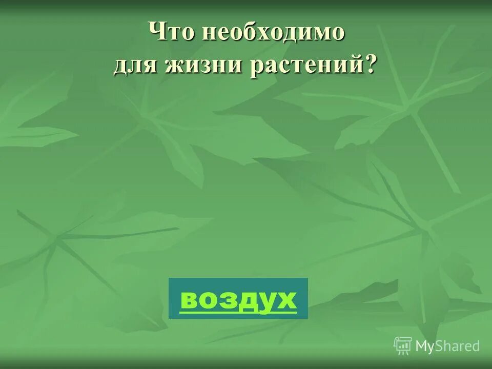 Федоров жизнь растений. Сколько растений на земле.