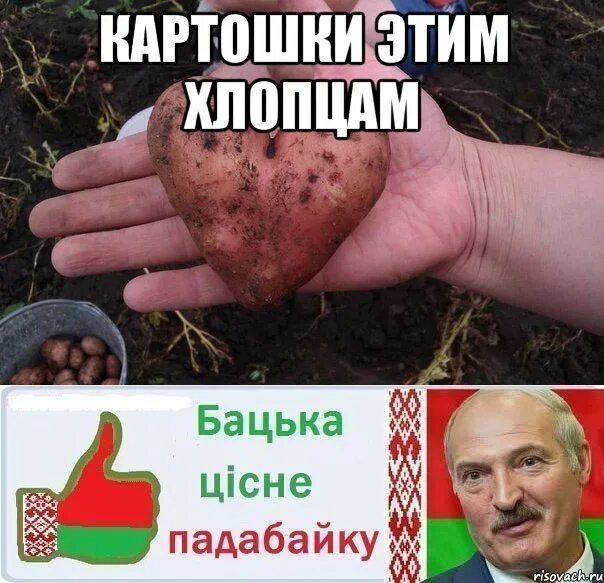 Картошка молодая а ты нет но жарят. Картошки этому хлопцу мем. мемы про картошку. порцию картошки этому хлопцу. батька картошка мем.