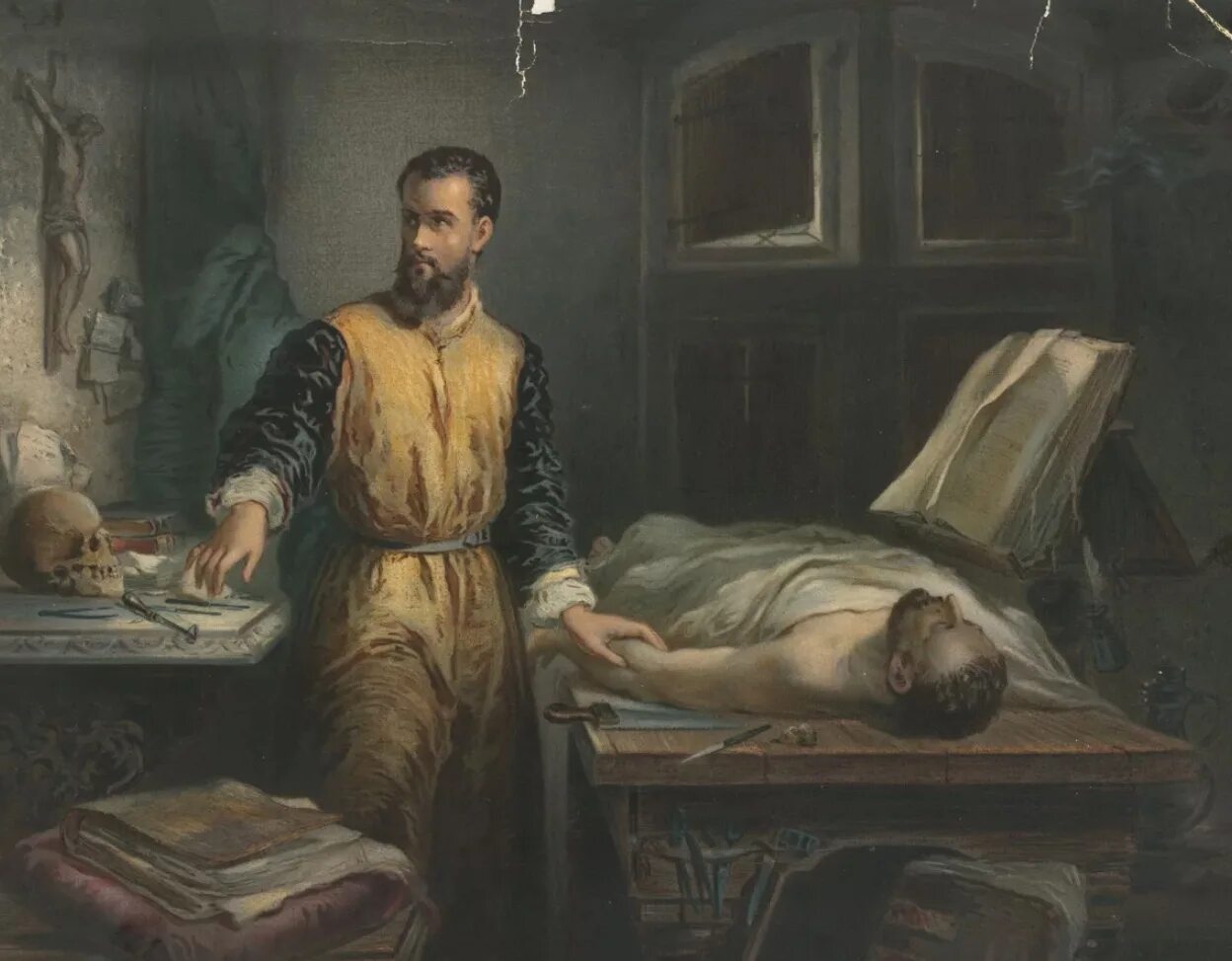 Андреас Везалий анатом. Андреас Везалий (1514-1564). Анатом и врач андреас Везалий. Андреас Везалий медицина.