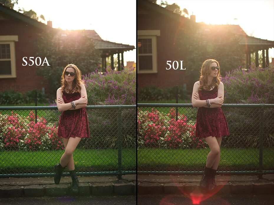 Canon vs Sigma 50 1.4. Объектив 50mm 1.4 для кропа. Sigma 35mm 1.4 или 50. Canon 50mm 1.2 vs 1.8. Разница фокусного расстояния