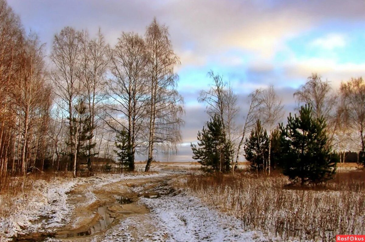 Ноябрьские картинки. Поздняя осень. Ноябрь природа. Ноябрь пейзаж. Осень ноябрь.