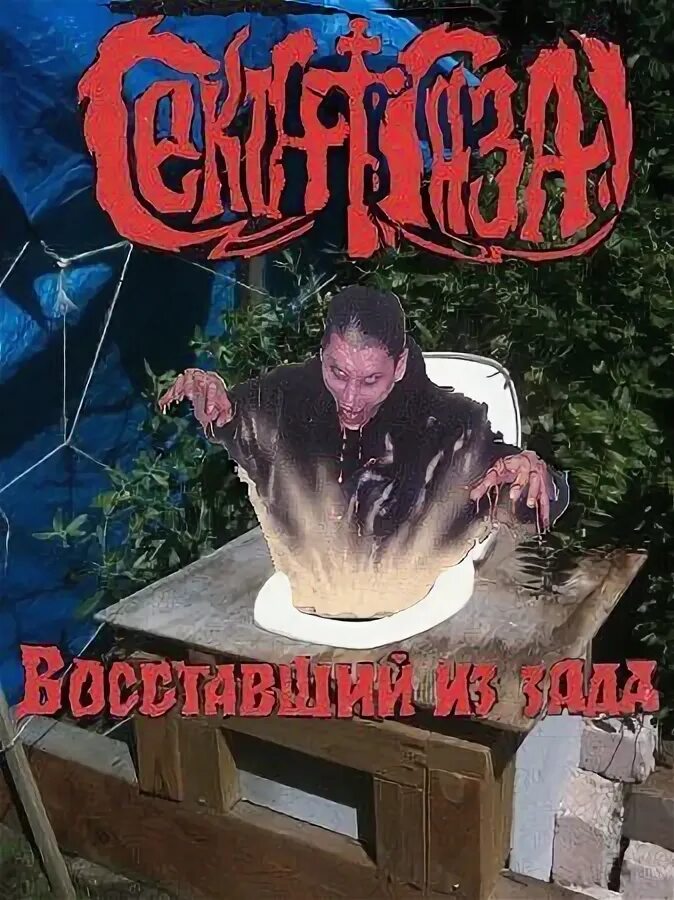 Песни сектор газа туалет. Сельский туалет сектор. Сельский туалет сектор газа. Сектор газа деревенский туалет. Сектор газа сельский туалет обложка.