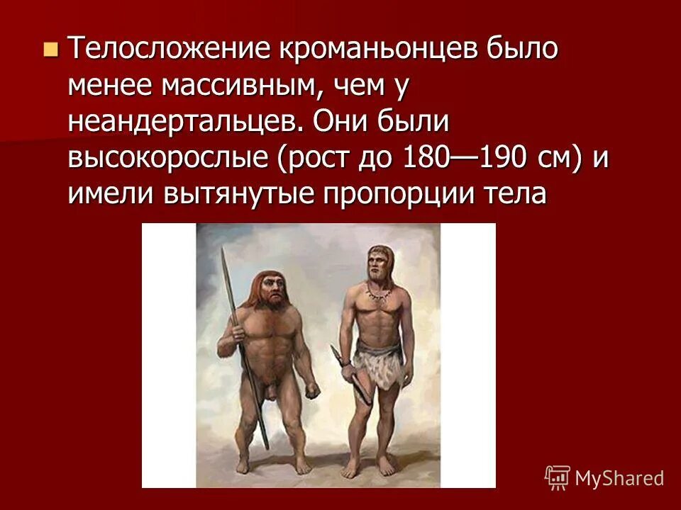 палеоантроп( неандерталец) череп. неандерталец и кроманьонец. человек кроманьонец. найденный кроманьонец. кроманьонец таблица.