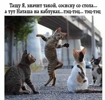 Я тут хозяйка