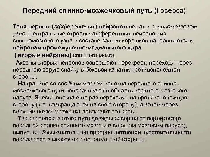 Передний мозжечковый путь. Спинно мозжечковые пути. Передний и задний спиномозжечковые пути. Передние спинно мозжечковые пути.