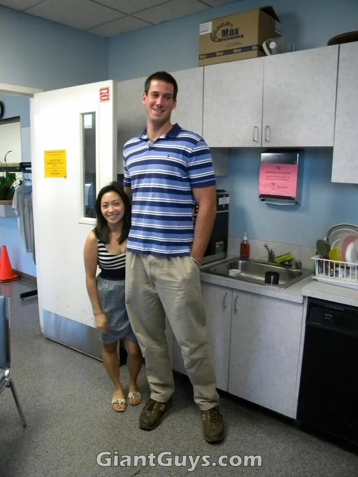 6 ft. 6 ft tall. 6 feet tall. six feet tall.