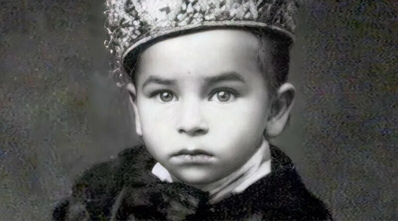 Детство автобиография. Детство автобиография. Рассказ о творчестве михалкова 2 класс. Краткое содержание максима горького детство. Автобиография интересная.