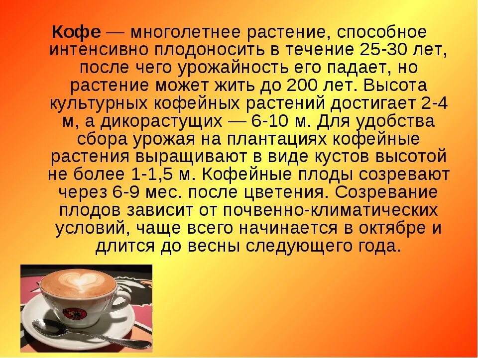 Кофе пятого. Интересные факты о кофе. рассказ про кофе. интересные истории про кофе. кофе для презентации.