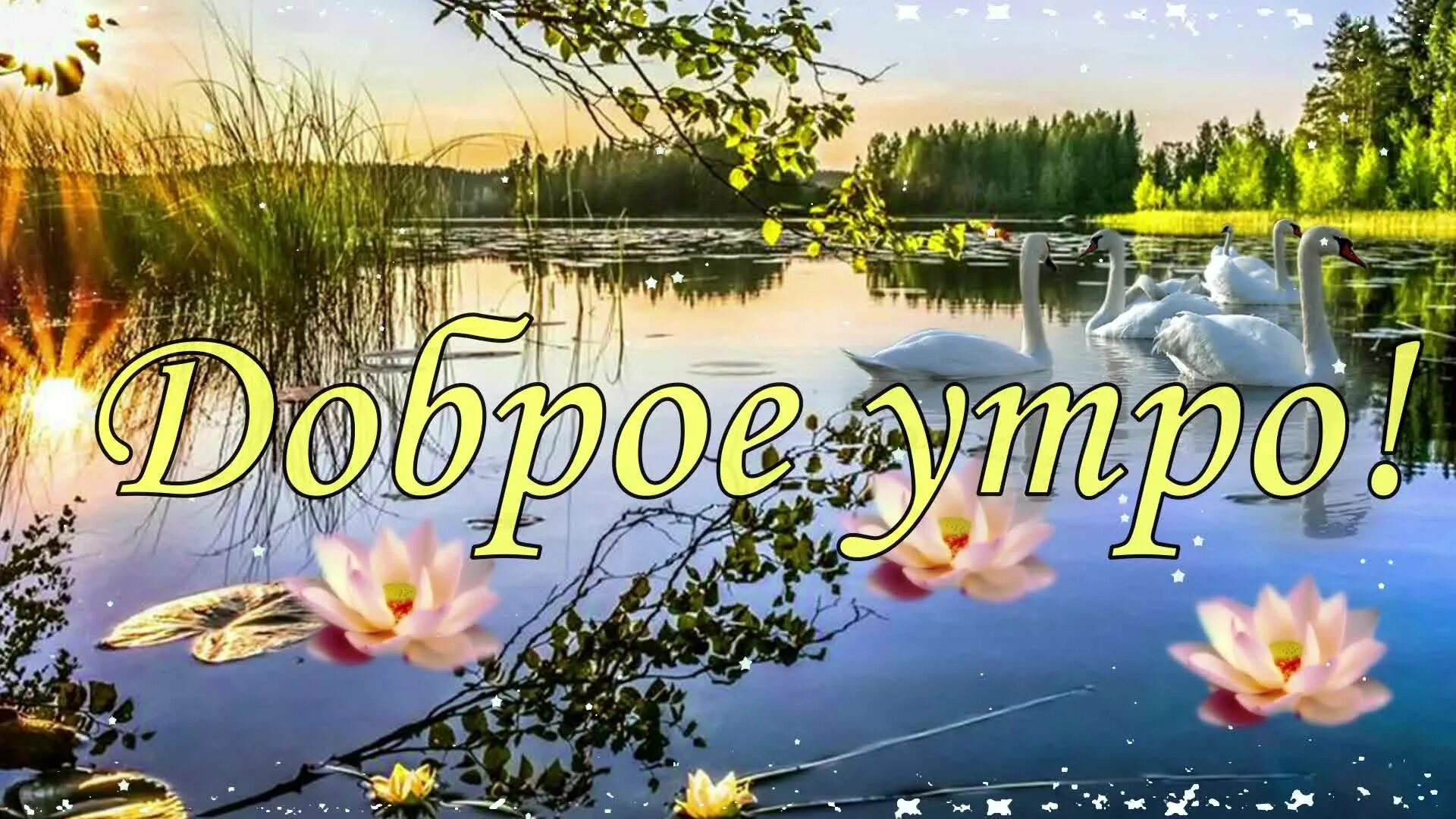 Открытка на вацап доброе утро. Открытки с добрым утром с природой. красивые пожелания с добрым утром. удачного дня природа. открытки с добрым утром c природой.