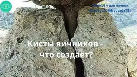 Прорвемся дерево