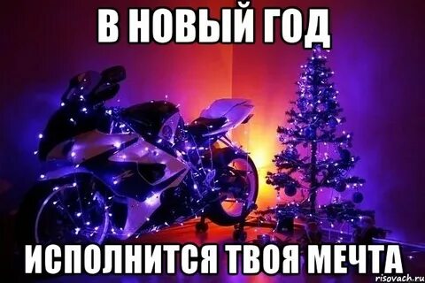Нова твои мечты