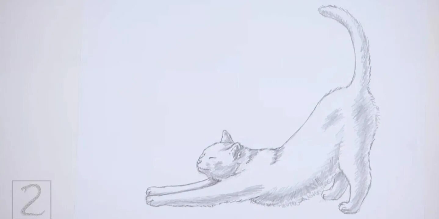 Как нарисовать стоящего котика. Нарисовать кота. кошка потягивается рисунок. потягивающийся кот карандашом. рисуем кота потягивается.
