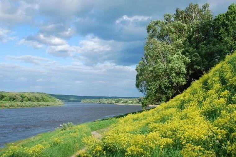 Тарусский р. Долина грез Таруса. Тарусский район Ока. Ладыжино Таруса. Река Таруса в Калужской области.