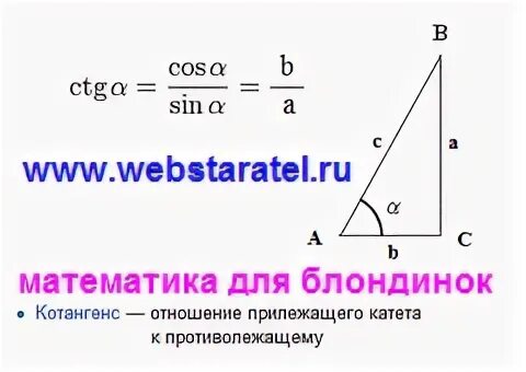 Отправляясь в путешествие кот котангенс решил