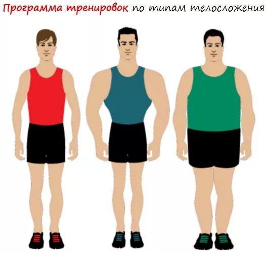 Тип тела 1. Типы телосложения. коренастый тип телосложения. типы тела. коренастый тип фигуры.