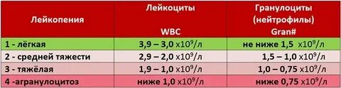 Лейкоциты это показатель чего