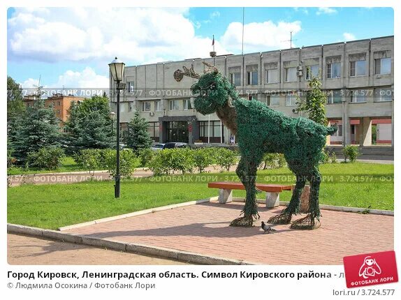 Кировск лен обл новая 1. Г кировск ул северная 1в. Кировск ленинградская область номер телефона. Кировск ленинградская область номер телефона. Хвалово волховский район школа.