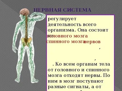 Какие из систем не позволяют