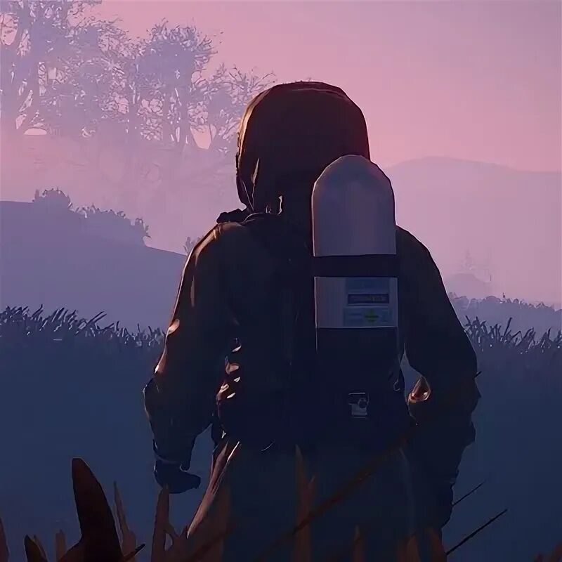 Mrazrust. Mrazrust. Собаки. Тос-2 солнцепек. Mrazrust.