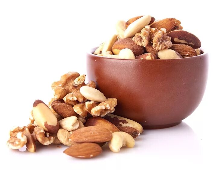 Nuts model