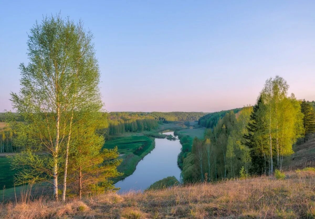 Река Немда Кировская область. Река Немда Марий Эл. Немда пижма Вятка. Немда (приток пижмы). Картинка кировская область