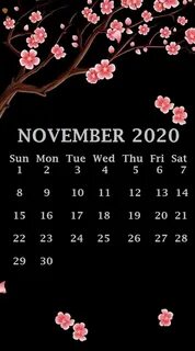 Ноябрь 2020