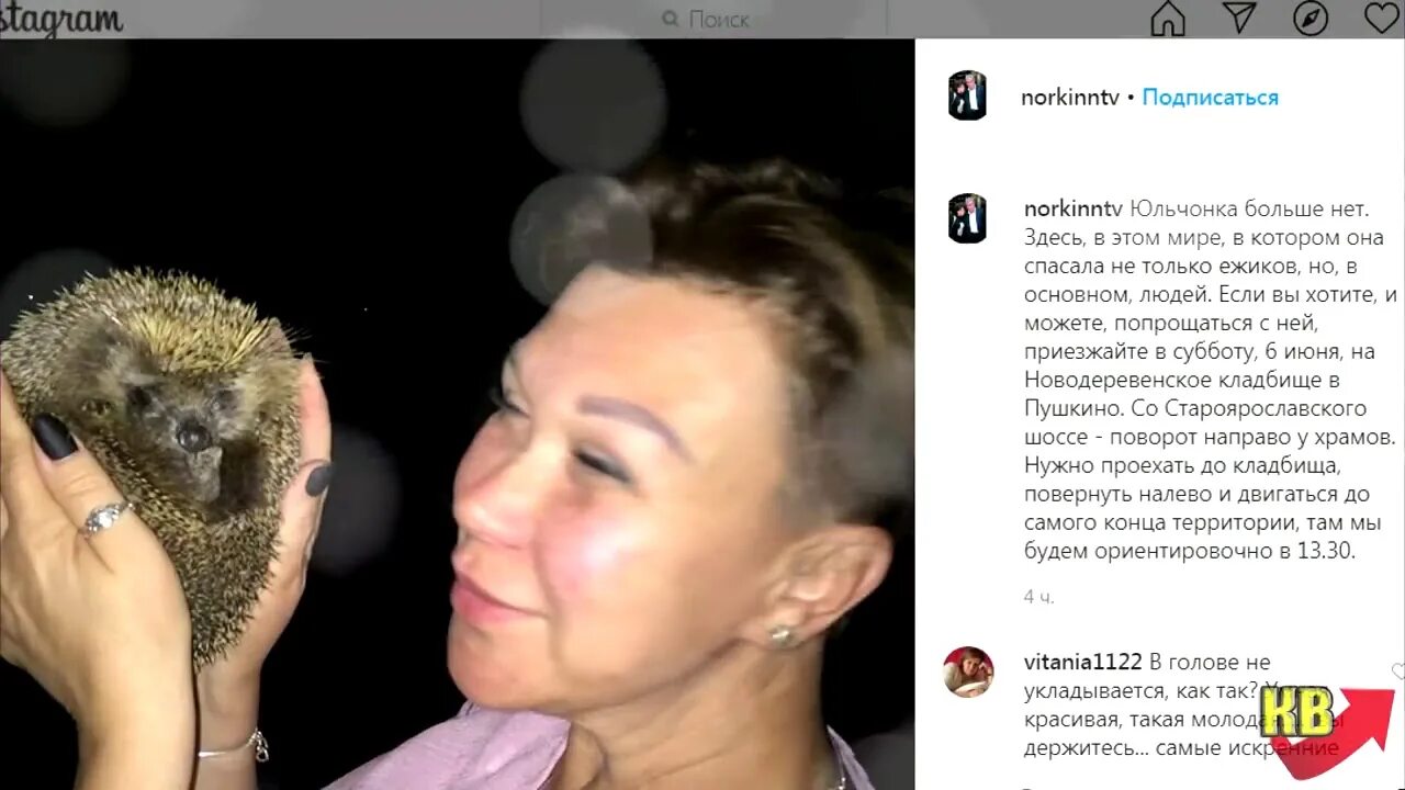 Куда делся норкина. Телеведущая юлия норкина. норкина журналист смерти. норкин телеведущий жена. андрей норкин жена причина смерти.