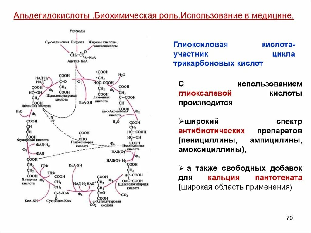 Гликолевая кислота о2 глиоксиловая кислота н2о2. Синтез глиоксиловой кислоты. Альдегидокислоты. Глиоксиловая кислота с циановодородной кислотой.