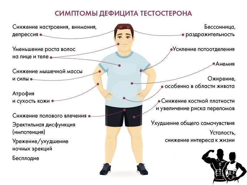 Типы тестостерона