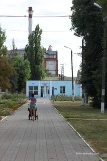 Синоптик красный