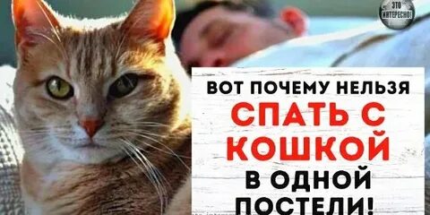 Почему нельзя ночевать на даче