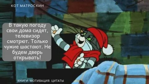 Кот матроскин цитаты