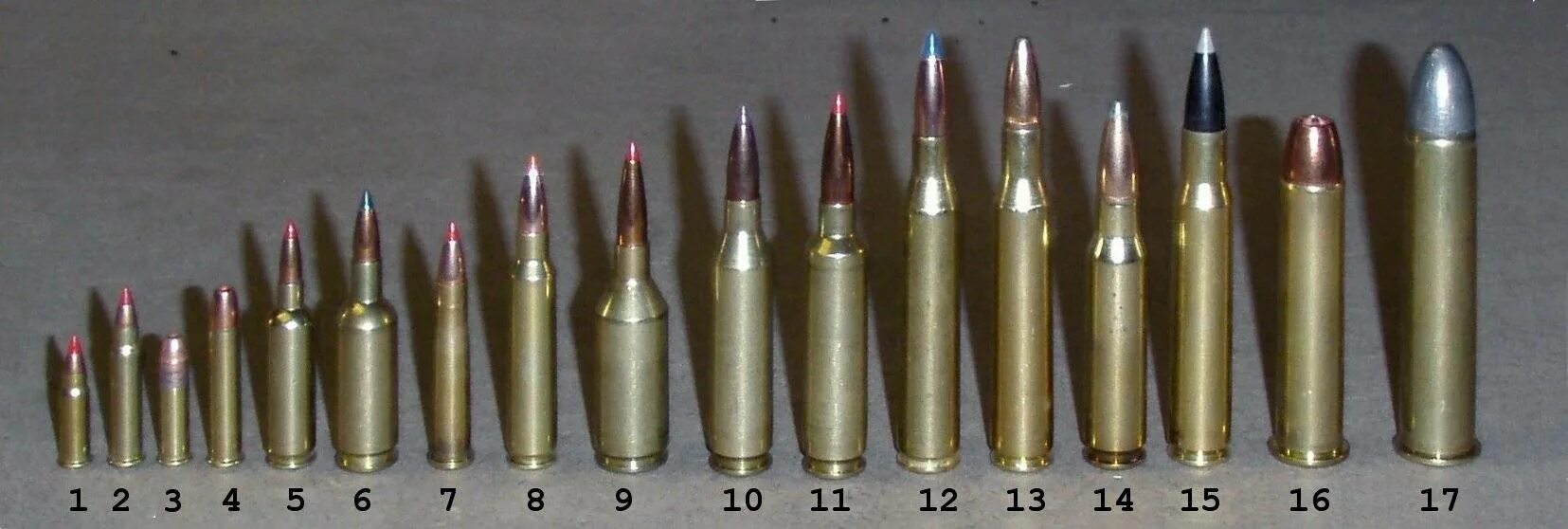 05 35 6. 308 Win Калибр в мм. Калибр 223 WSSM. Калибры 22lr/22wmr/17hmr. Оружие на калибре 223 WSSM.