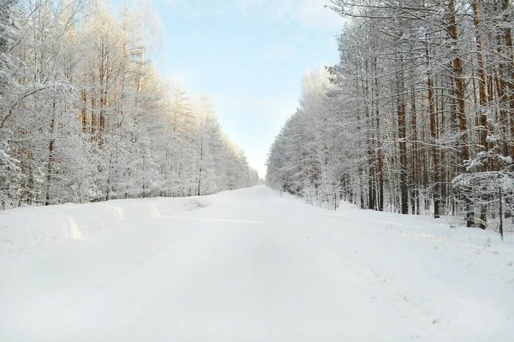 Детский санаторий алатырь ичалки. Лагерь алатырь саранск. Смольный санаторий алатырь мордовия. Санаторий алатырь мордовия ичалковский район. Санаторий алатырь мордовия ичалковский район.