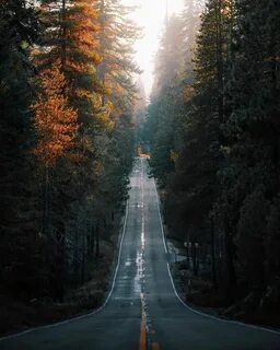 Красивые картинки на аватарку природа
