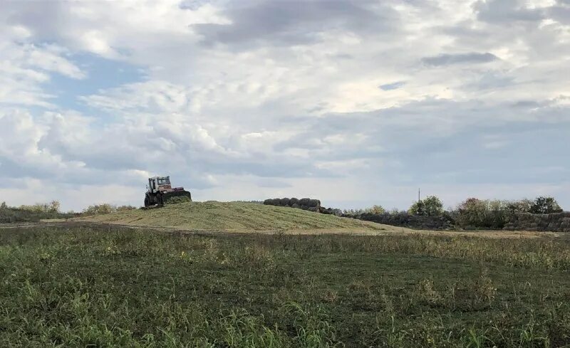 церковь тюльган тюльганский район. погода троицкое тюльганского оренбургской декабрь 2023 год. село городки тюльганский район. погода троицкое тюльганского оренбургской декабрь 2023 год. село козловка оренбургская область тюльганский район.