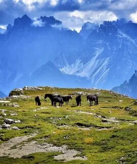 Dans les montagnes