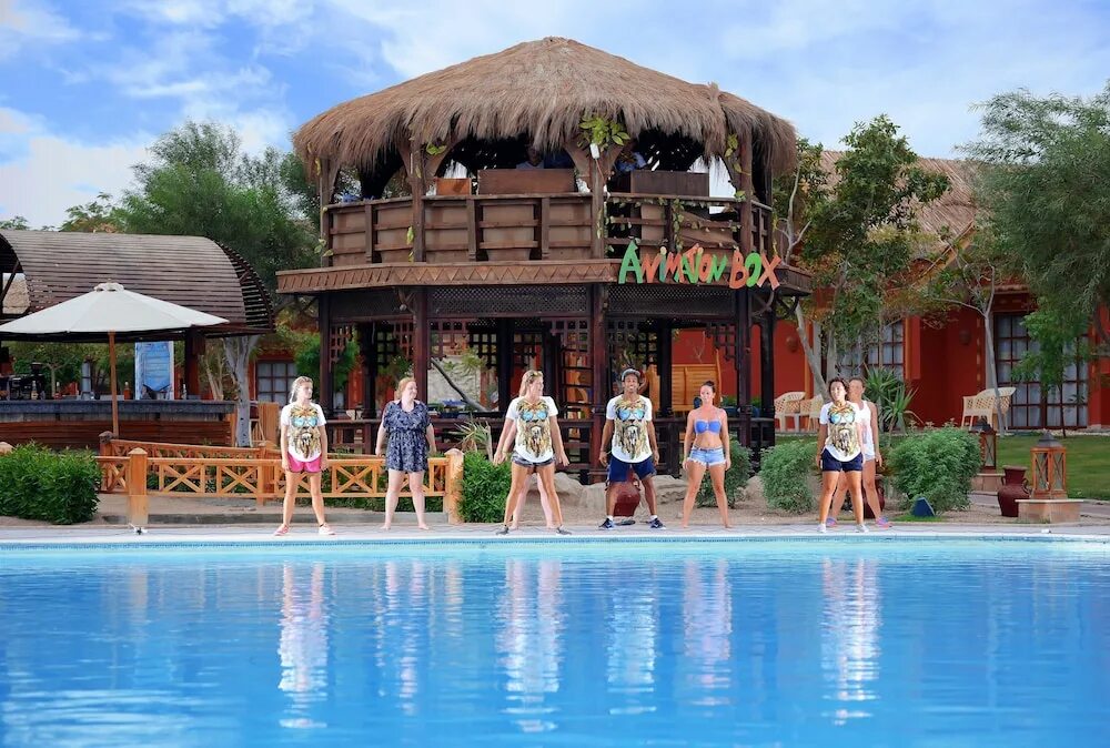 Neverland хургада. Jungle Aqua Park by Neverland 4 Хургада. Pickalbatros Jungle Aqua Park Resort - Neverland Hurghada. Альбатрос Джангл аквапарк номера.