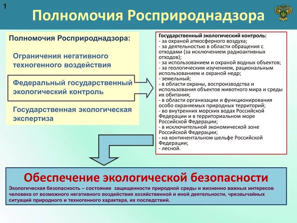 Осуществление государственного экологического надзора. Росприроднадзор полномочия. Полномочия государственного экологического контроля. Контролирующие органы в экологии. Гос. Органы осуществляющие контроль в сфере природопользования.