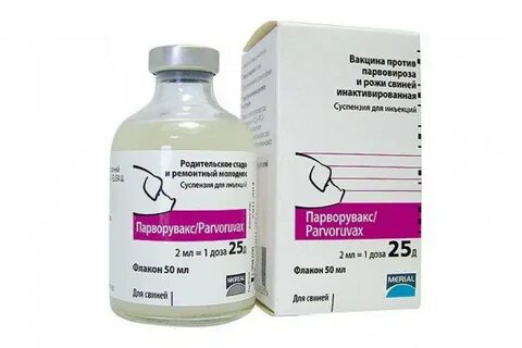 Рожа свиней вакцинация