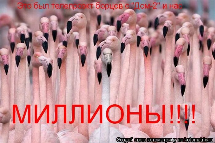 нас миллионы минус