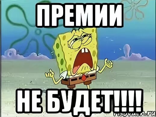 Премии не будет. Премия на работе картинки. Премия не работает. Сова эффективный менеджер. Стихи про премию прикольные.