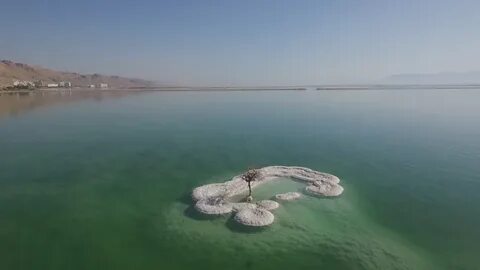 Мертвое море кто живет
