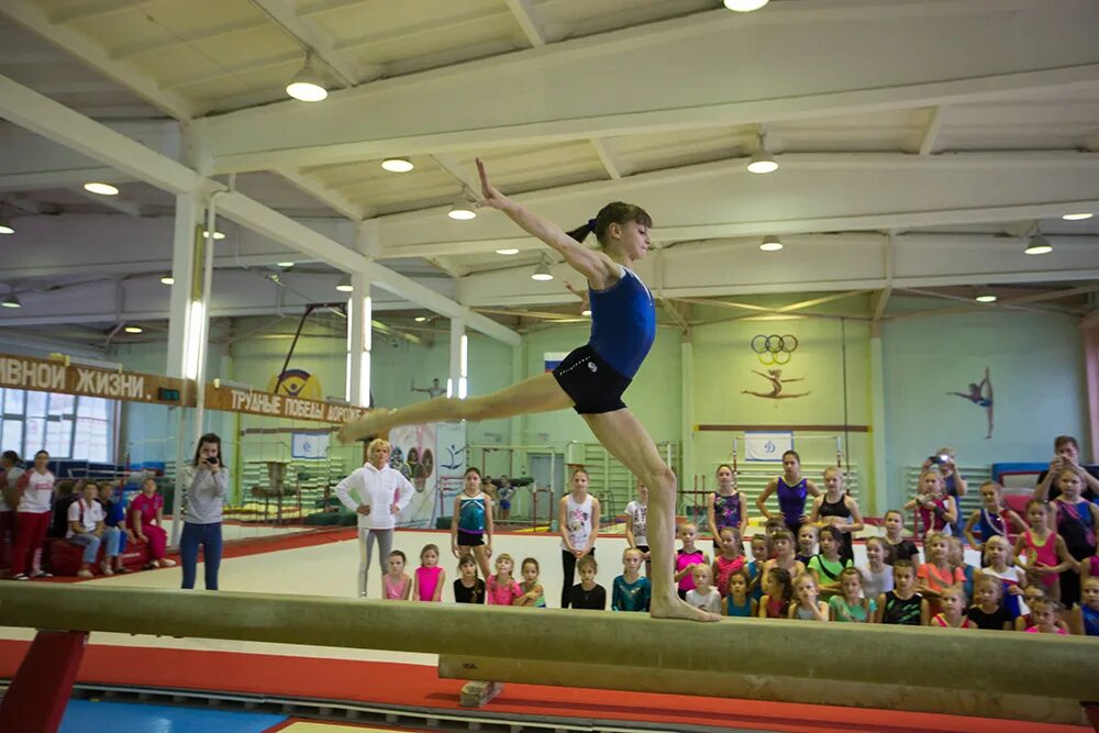 спортивная гимнастика оренбург. гимнасты екатеринбург. спортивная школа шевчука красноярск. школа олимпийского резерва биробиджан. гимнастика для девочек в оренбурге.