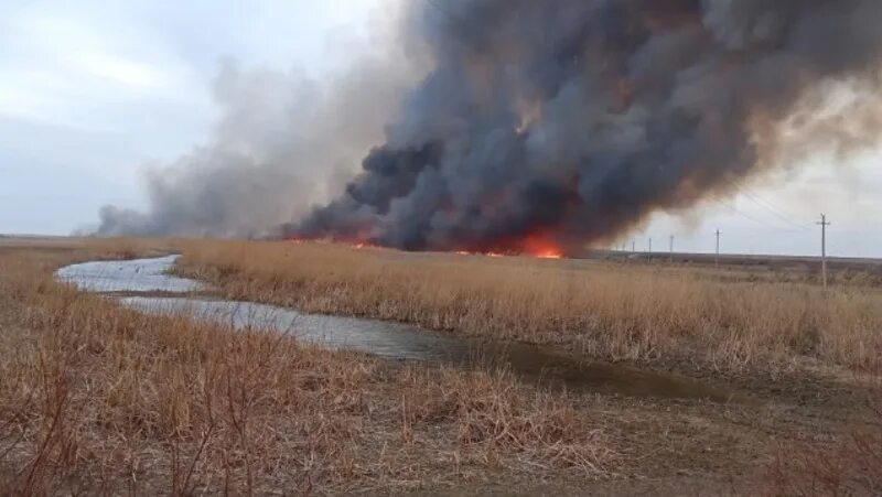 Степные пожары. Степные и полевые пожары. Пожар в степи. Степь в огне.