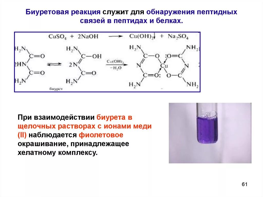 Реакции образования связи с с. Схема реакции биурета с гидроксидом меди 2. Биурет с гидроксидом меди 2. Биуретовая кислота формула. Биуретовая реакция на пептидную связь.