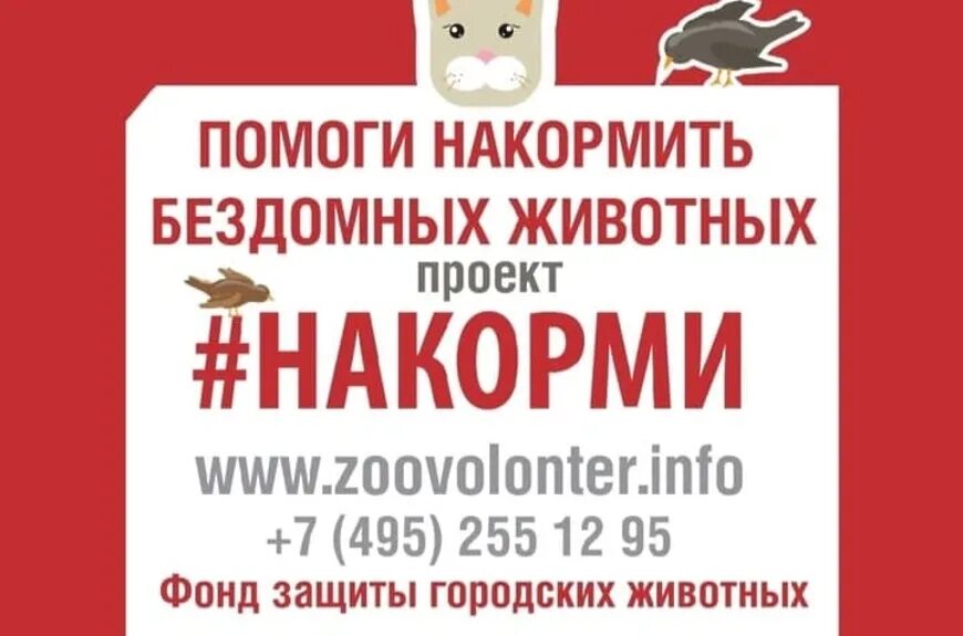Благотворительная акция по сбору корма для животных. Акция по сбору корма для бездомных животных. сбор корма для животных акция. собираем корм для животных акция. акция по сбору корма для животных.