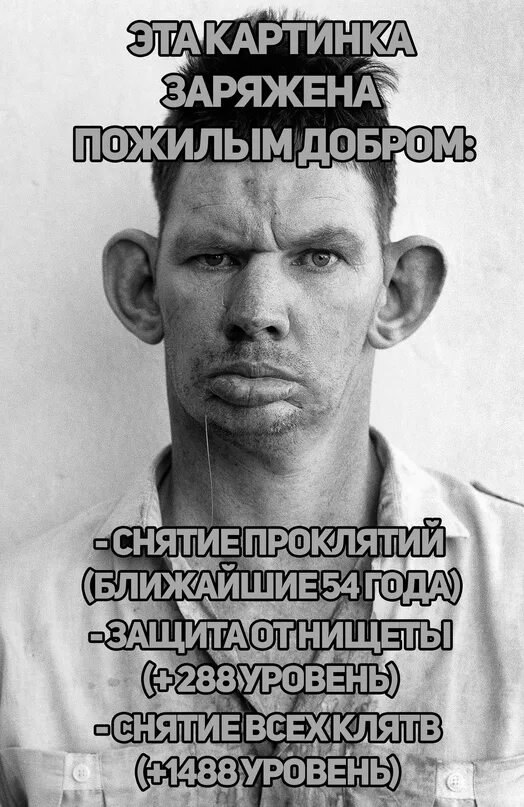 Сейчас выдать