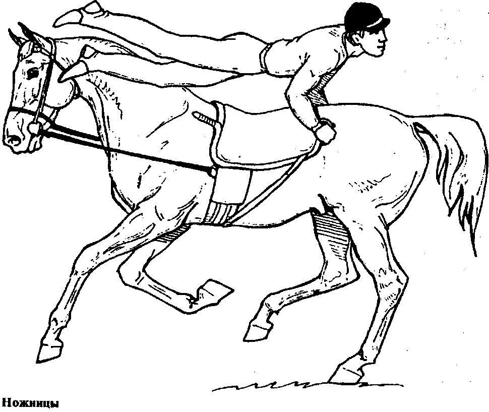 Джигитовка казаков. Человек в седле. Верхово-вьючные породы лошадей. Состязание в седле сканворд. Раскраски лошади тренировка.