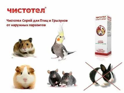 Чистотел для грызунов